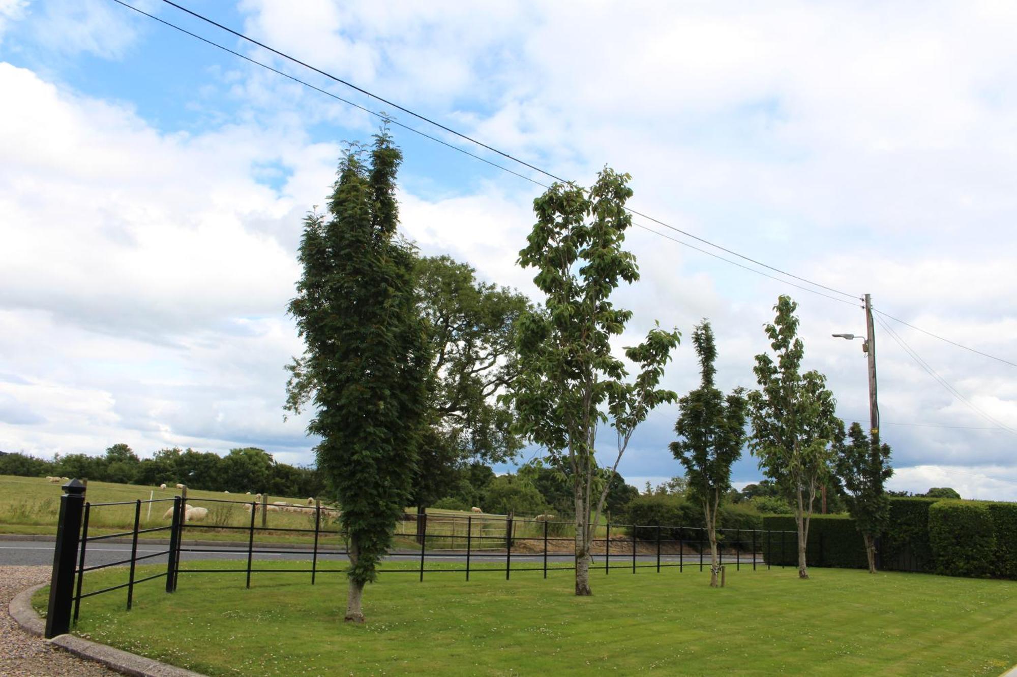 Contemporary Countryside Home Dromore  外观 照片